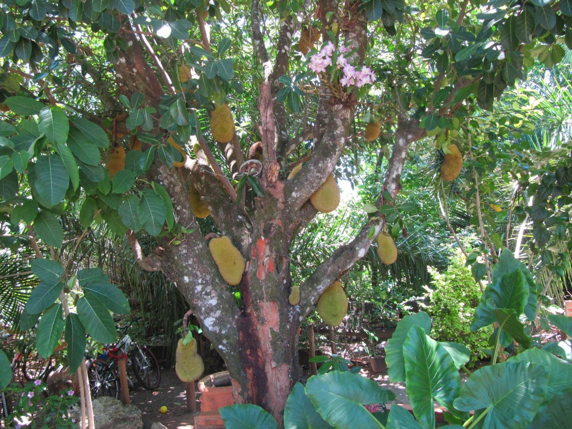 Eco Pousada Villa Verde Bonito  Exterior foto